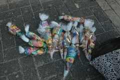 avdwezep_20240530j_006
